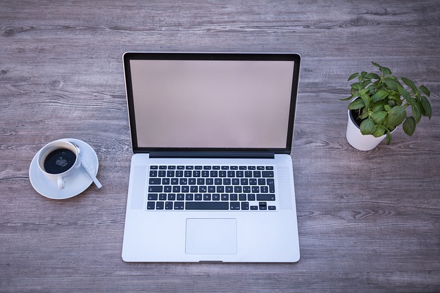 Platforme til at bygge en lønsom webshop